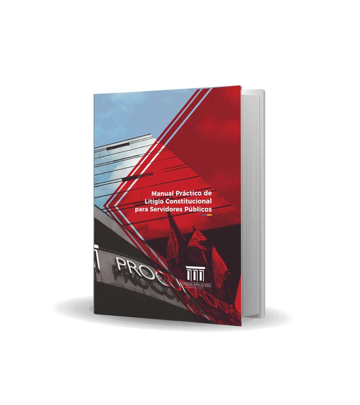 montaje libro manual litigio v4